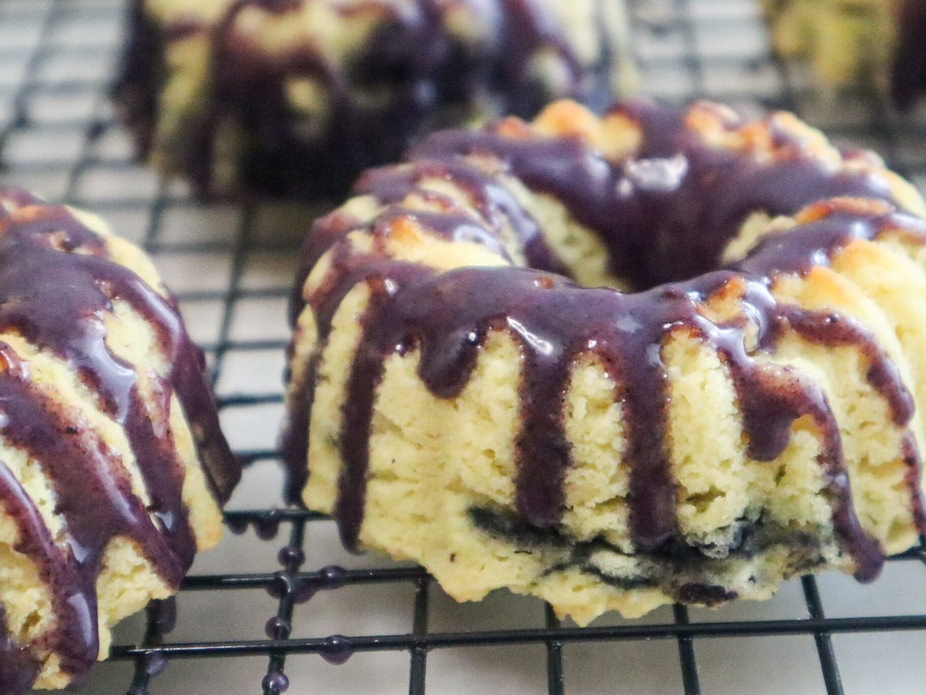 Blueberry Butter Mini Bundt Cake